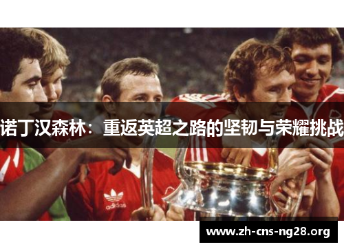 诺丁汉森林:重返英超之路的坚韧与荣耀挑战 诺丁汉森林:重返英超之路的坚韧与荣耀挑战