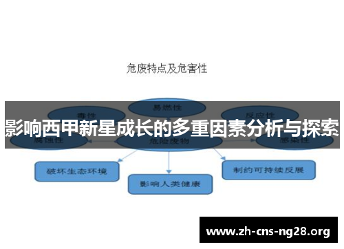 影响西甲新星成长的多重因素分析与探索