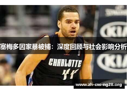 塞梅多因家暴被捕:深度回顾与社会影响分析 塞梅多因家暴被捕:深度回顾与社会影响分析