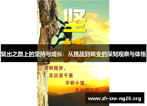 复出之路上的坚持与成长：从挑战到蜕变的深刻观察与体悟