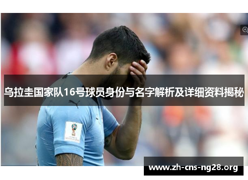 乌拉圭国家队16号球员身份与名字解析及详细资料揭秘