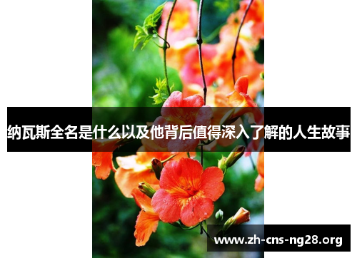 纳瓦斯全名是什么以及他背后值得深入了解的人生故事 纳瓦斯全名是什么以及他背后值得深入了解的人生故事