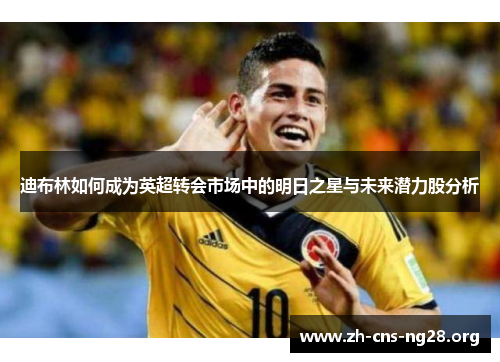 迪布林如何成为英超转会市场中的明日之星与未来潜力股分析